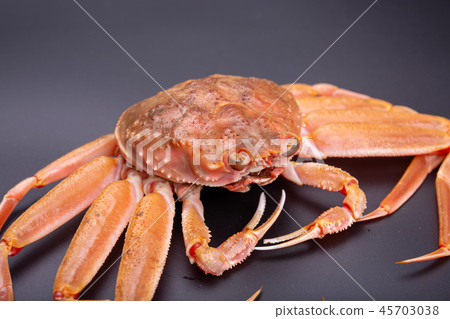 Snow crab female ingredients 45703038