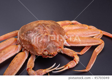 Snow crab female ingredients 45703049