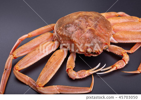 雪蟹女性成分 雪蟹女性成分 45703050