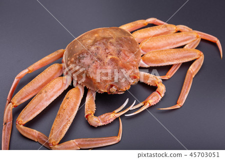 Snow crab female ingredients 45703051