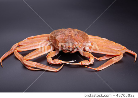 雪蟹女性成分 45703052