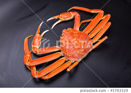 雪蟹成分 45703329