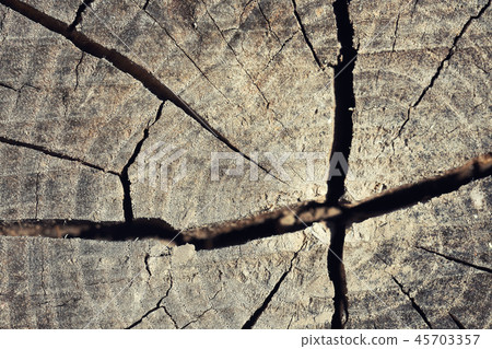 Old wood texture with natural patterns. 45703357