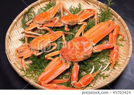 松葉蟹成分 45703424