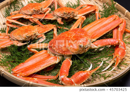 松葉蟹成分 松葉蟹成分 45703425