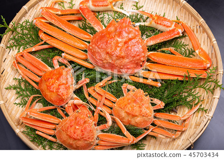 松葉蟹成分 松葉蟹成分 45703434