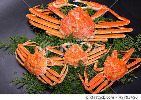 松葉蟹成分 45703450