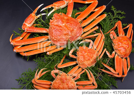 Matsuba crab ingredients 45703456