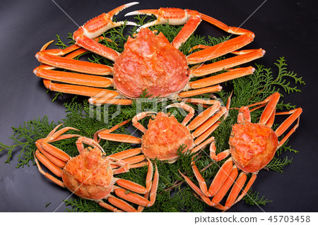 Matsuba crab ingredients 45703458