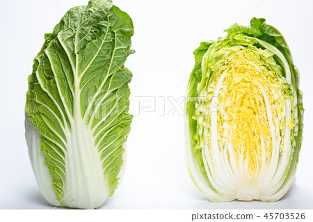 Cabbage 45703526