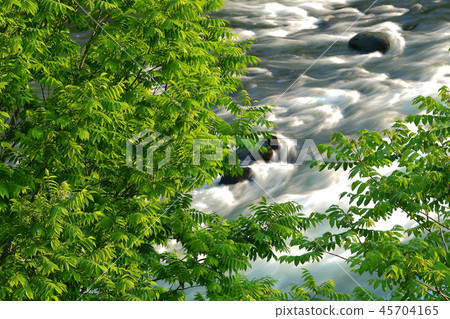 Spring valley fresh green riverside 45704165