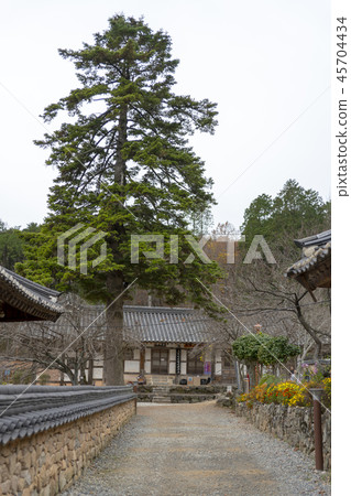 太陽神廟(歷史遺址第507號),Chogye山,順天市,全南 太陽神廟(歷史遺址第507號),Chogye山,順天市,全南 45704434