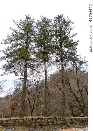 Sun-am Temple (Historic Site No. 507), Chogye Mountain, Suncheon City, Jeonnam Sun-am Temple (Historic Site No. 507), Chogye Mountain, Suncheon City, Jeonnam 45704440