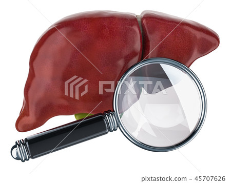 Human liver with magnifying glass 45707626