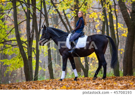 Teenage girl riding horse in autumn park Teenage girl riding horse in autumn park 45708193