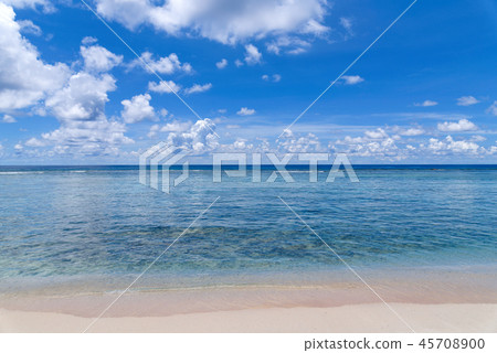 關島可可棕櫚園海灘 關島可可棕櫚園海灘 45708900