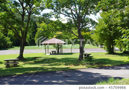 Awnings and trees in the foothills of the Hachiman Kogen 45709966