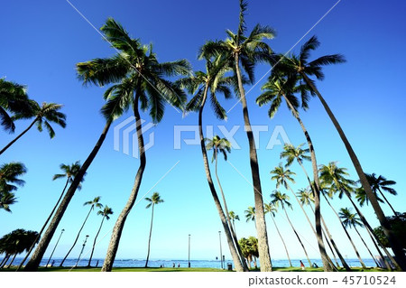 honolulu, sight-seeing area, sights 45710524