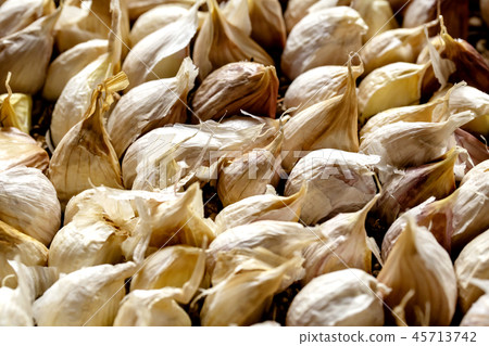 garlic  45713742