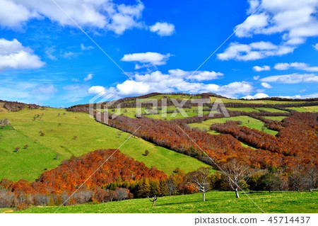 Fall of plateau (Sodeyama 2) Fall of plateau (Sodeyama 2) 45714437