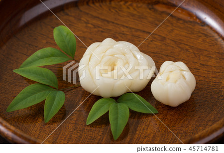 Flower lily root Flower lily root 45714781