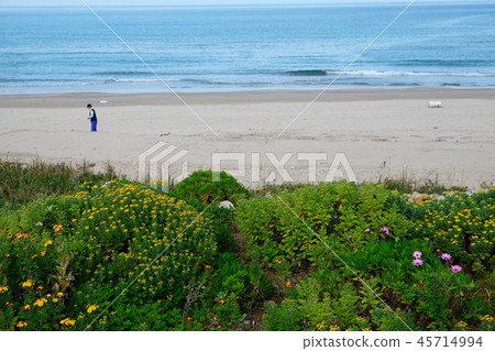 San-in Coast Geopark Trail 2 45714994