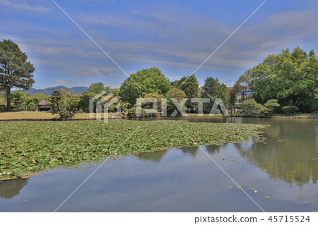 View of japanese landscape garden at Shuraku en View of japanese landscape garden at Shuraku en 45715524