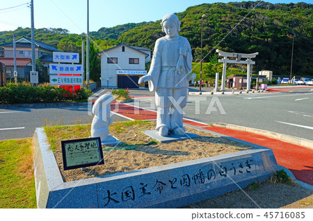 White rabbit coast 45716085