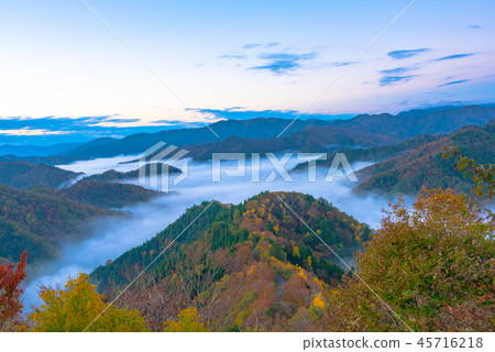 Autumn leaves Autumn leaves Early morning Cloudy sea Autumn leaves Autumn leaves Early morning Cloudy sea 45716218
