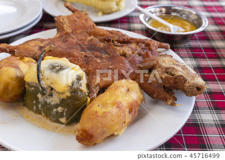 Roasted guinea pig 45716499