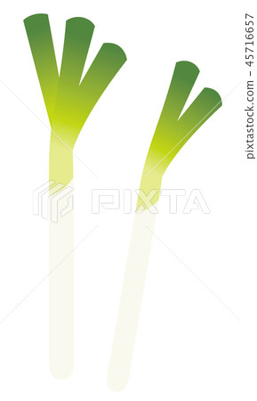 Green onion 45716657