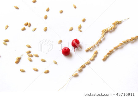 大米和水果 大米和水果 45716911