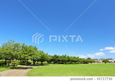 Refreshing blue sky and the landscape of the park 45717730