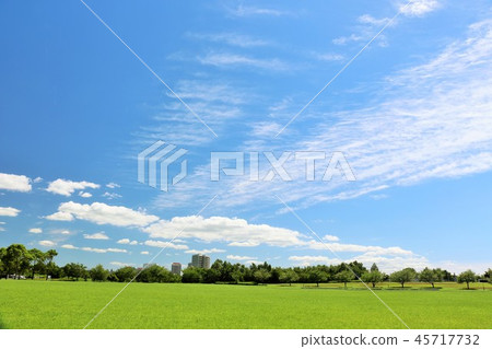 Refreshing blue sky and the landscape of the park 45717732