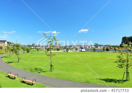 Refreshing blue sky and the landscape of the park 45717733