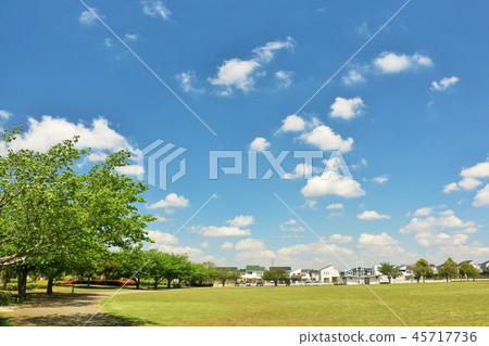 清新的藍天和公園在城市 45717736