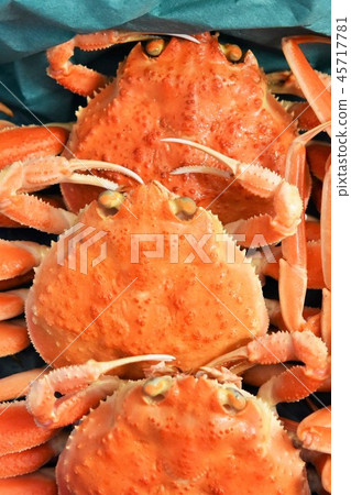 Snow crab Figure Face Material Background 45717781