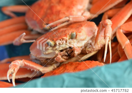 Snow crab Figure Face Material Background 45717782