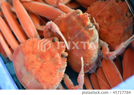 雪螃蟹形象面孔材料背景 雪螃蟹形象面孔材料背景 45717784