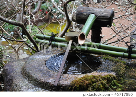 Kyoto Ohara Hosenin Tsurugame Garden in early spring 45717890