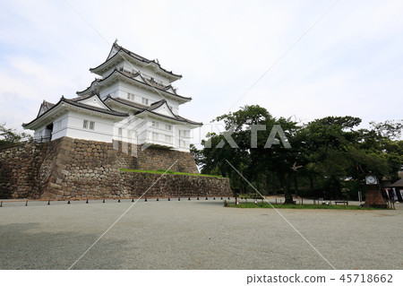 小田原城堡Honmaru Tenshukaku平成的偉大的改造 45718662