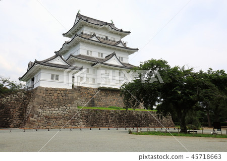 小田原城堡Honmaru Tenshukaku平成的偉大的改造 小田原城堡Honmaru Tenshukaku平成的偉大的改造 45718663