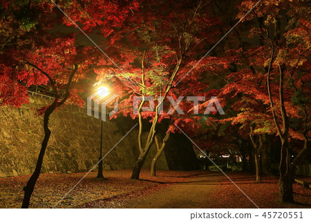 Iwate Park of autumn leaves 45720551