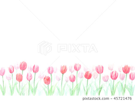 Watercolor tulip field background frame 45721476