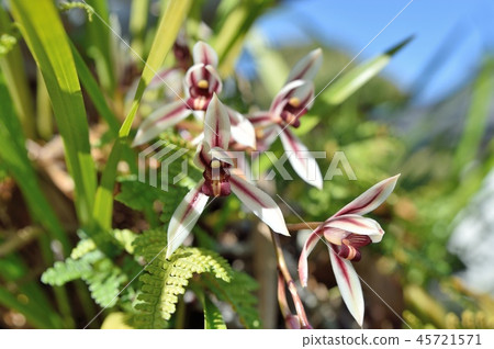 Hetsukaran Hetsukaran 45721571