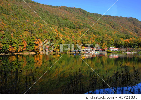 November Yotsuya Lake 80 autumn leaves 45721835