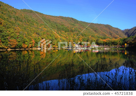 十一月四谷湖77秋葉 45721838