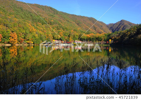 November Yotsuya Lake 76 autumn leaves 45721839