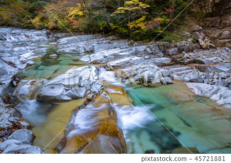 秋天的川川河 45721881