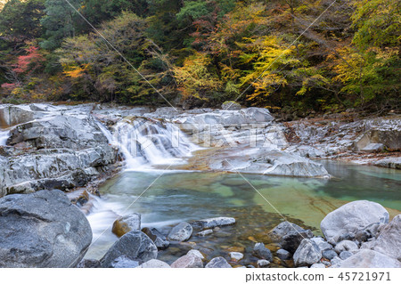 秋天的川川河 45721971